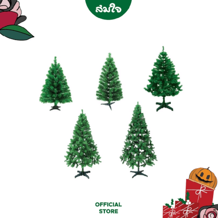 ต้น Christmas Somjai Selected ขนาด 6 ฟุต_2
